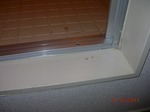 DSCN3269.jpg
