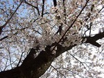 DSCF1748.jpg